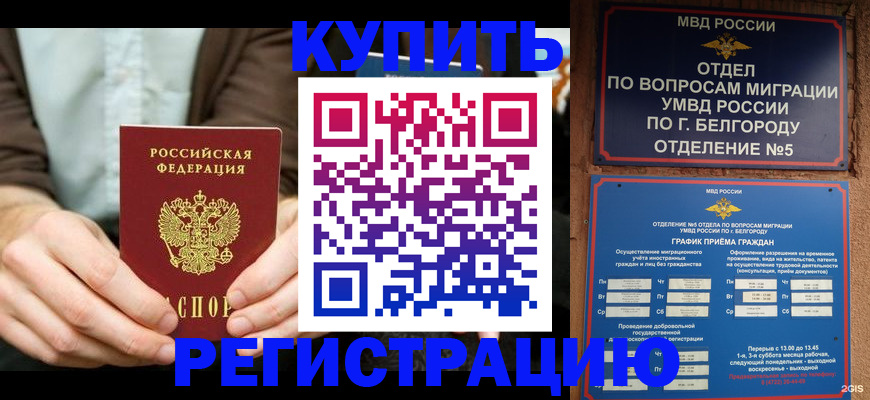 прописка 2025 в Камышлове
